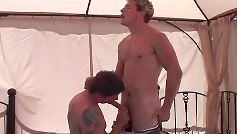 Brad Star And Billy Brandt (npng )
